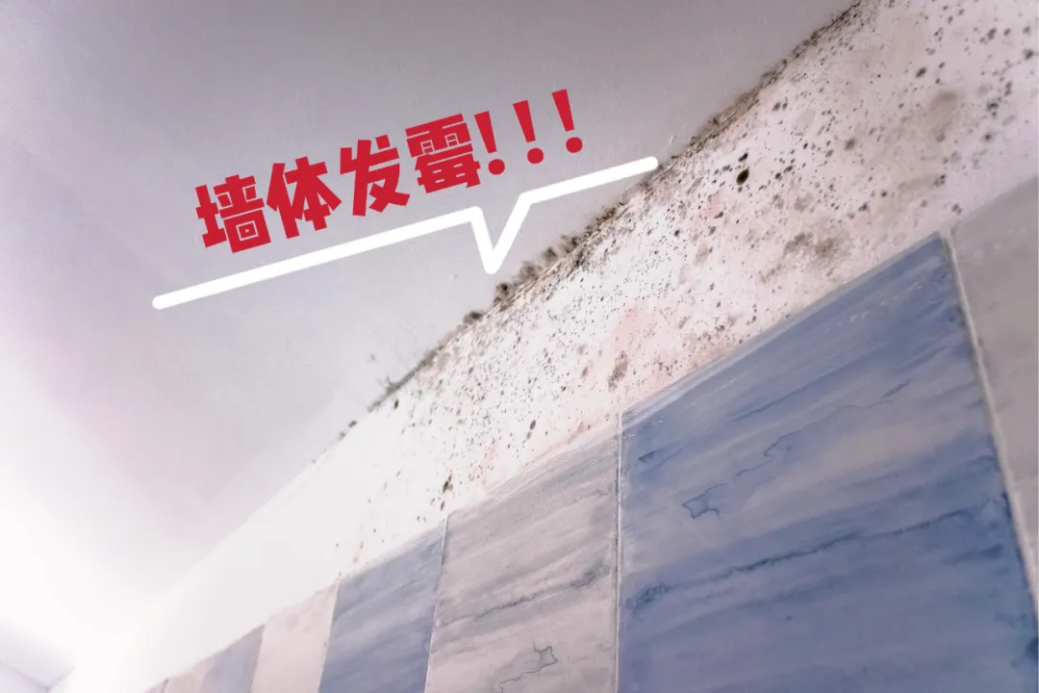 jn江南·体育登录入口 家装防水涂料怎么选？怎么做好防霉防潮？